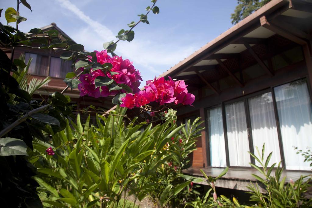Kenaki Lodge Puerto Viejo de Talamanca Exterior foto
